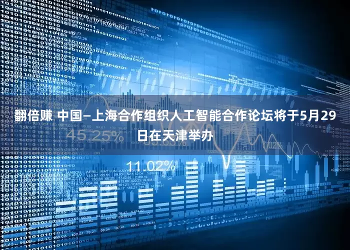 翻倍赚 中国—上海合作组织人工智能合作论坛将于5月29日在天津举办