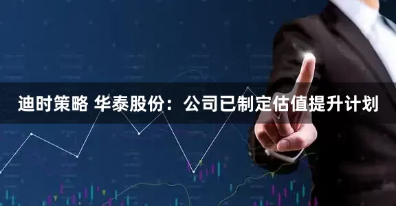 迪时策略 华泰股份：公司已制定估值提升计划